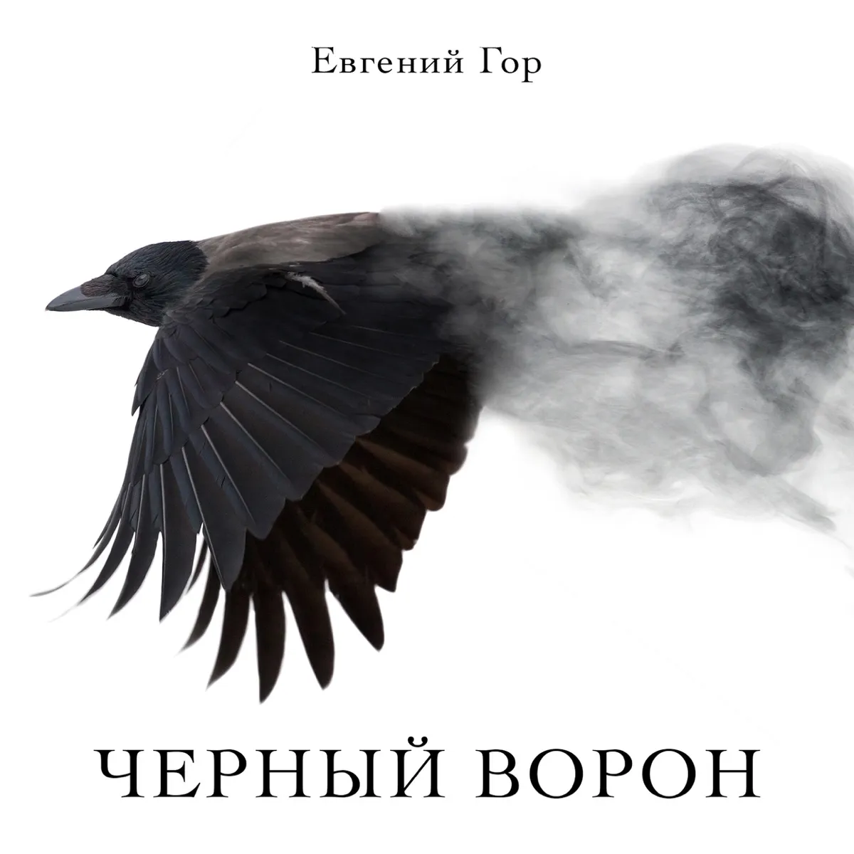 Обложка: Чёрный ворон